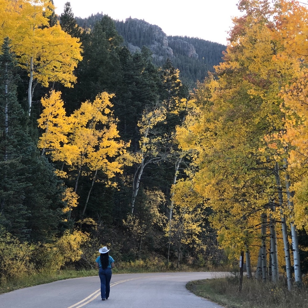 Meet your Posher, Bri